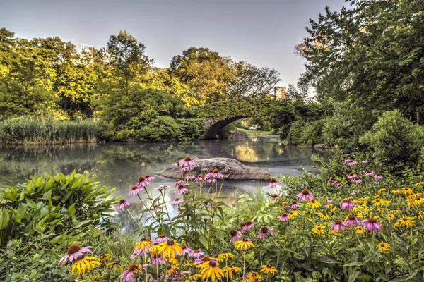 Gapstow bridge Central Park, New York City — Stock Photo, Image