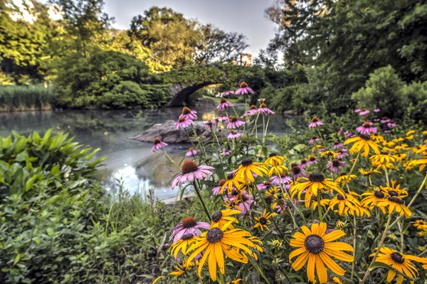 Gapstow bridge Central Park, New York City — Fotografie, imagine de stoc