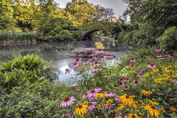 Ponte di Gapstow Central Park, New York — Foto Stock