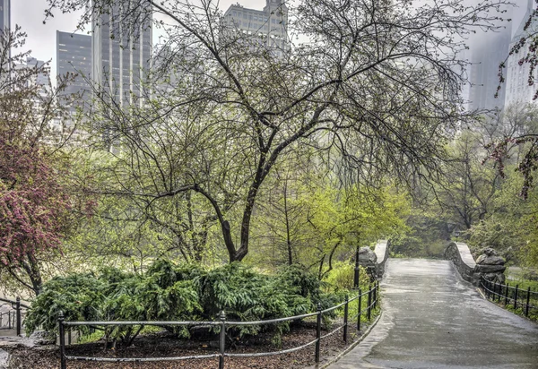 Ponte di Gapstow Central Park, New York — Foto Stock