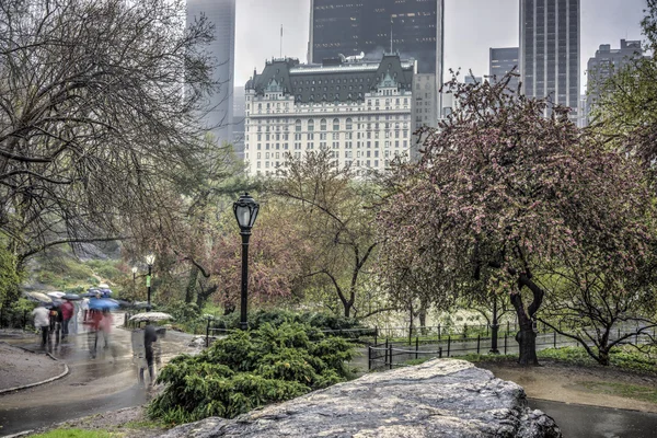 Central Park, New York City — Stock fotografie