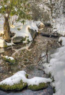 Central park, new york City'de kış
