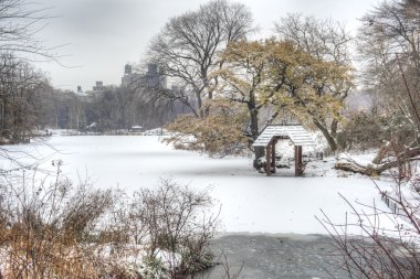 Central park, new york city kar fırtınası sırasında