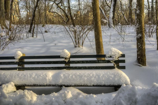 Central Park, Nova Iorque — Fotografia de Stock