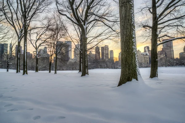 Central Park, Nova York no inverno — Fotografia de Stock