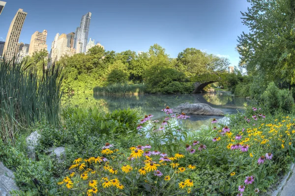 Gapstow bridge Central Park, New York City — Stock Photo, Image