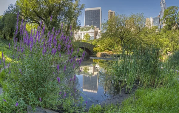 Ponte di Gapstow Central Park, New York — Foto Stock