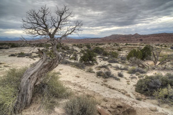 Castle Valley Utah — Stok Foto