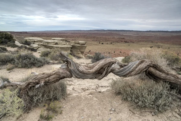 Burgtal utah — Stockfoto