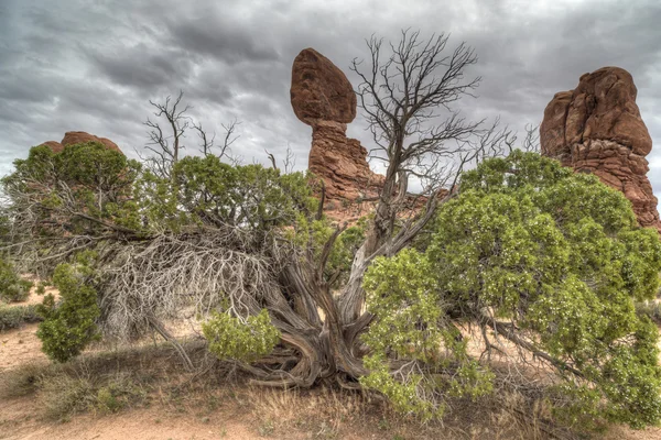 Nationaal park Arches — Stockfoto