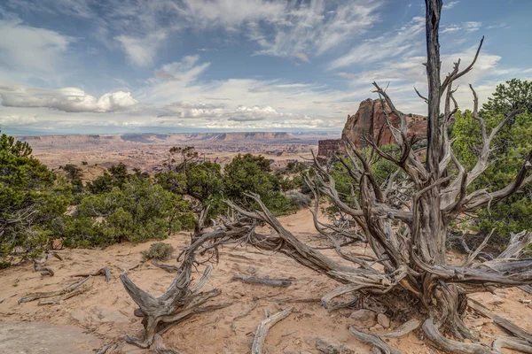 Národní park Canyonlands — Stock fotografie