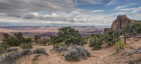 Canyonlands National Park — Stock Photo, Image