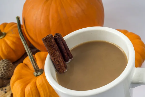 Especias de calabaza —  Fotos de Stock