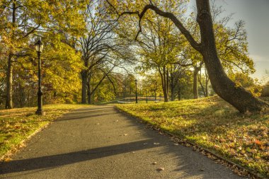 Central Park'ta sonbahar kaldırım