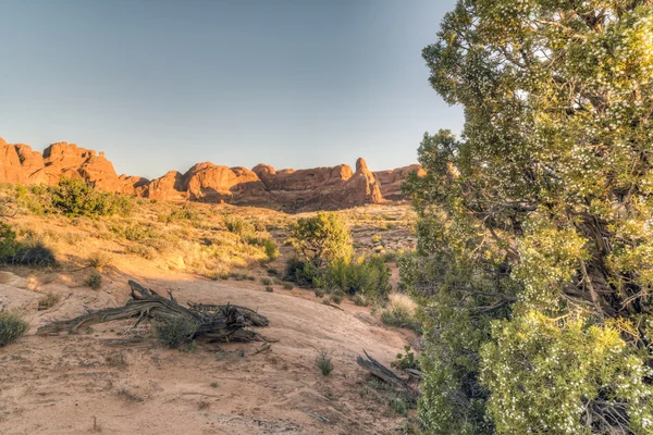 Arches National Park — Stock Photo, Image