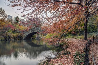 gapstow köprü central park, new york city