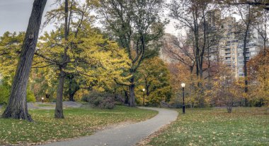 Central Park, New York Şehri