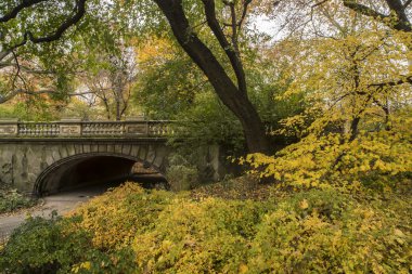 Glade archtuzlu kraker ve kestane