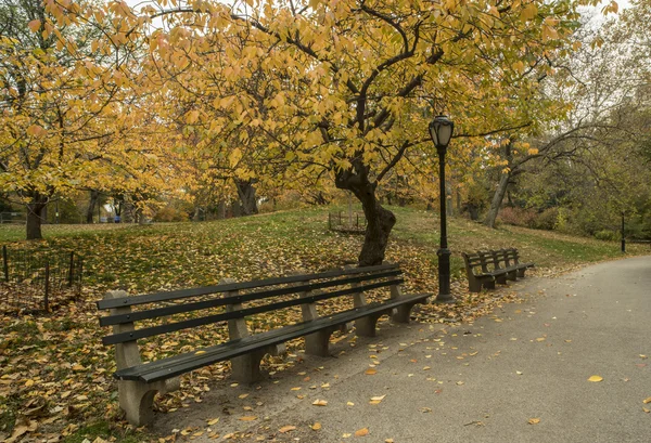 Central Park, New York — Photo