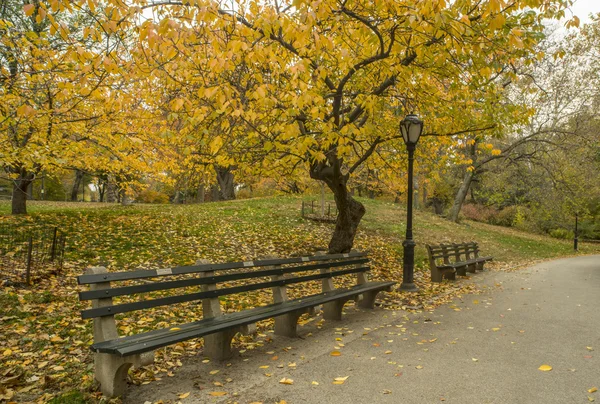 Central Park, New York City — Stockfoto