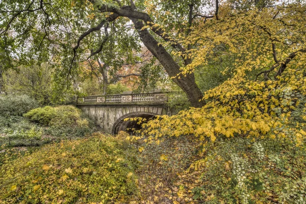 Arco de Glade —  Fotos de Stock