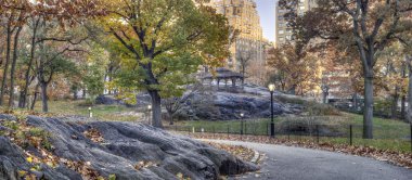 Central Park, New York Şehri