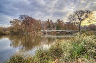 Central Park, New York Şehri