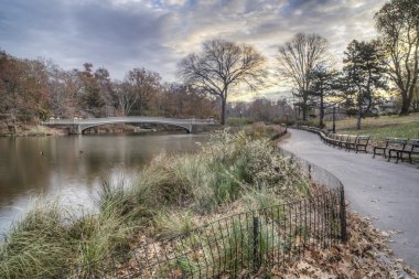 Central Park, New York Şehri