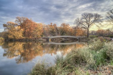Central Park, New York Şehri