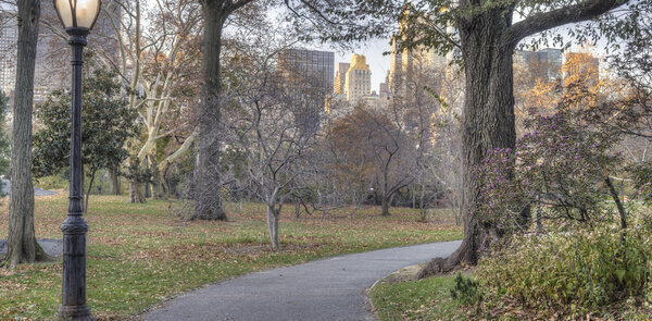 Early morning Central Park, New York City in late autumn