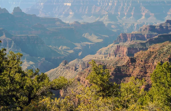 Grand Canyon, north rim — Stockfoto