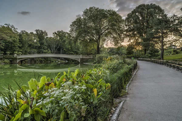 Bow bridge in summer — Stock Photo, Image