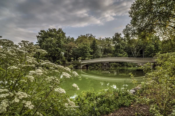 Луковый мост летом — стоковое фото