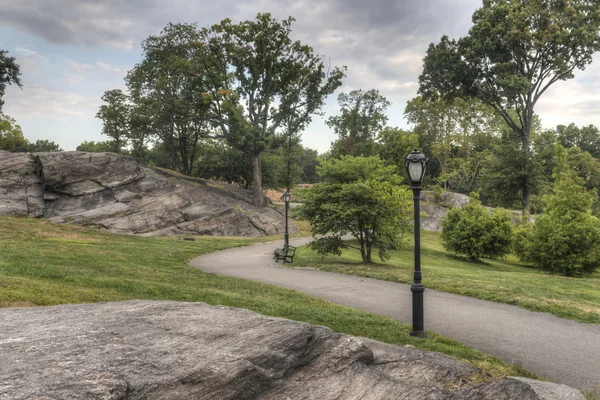 Central Park, New York City summer — Stock Photo, Image