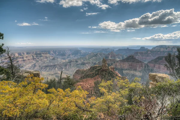 Grand Canyon, βόρειο χείλος — Φωτογραφία Αρχείου