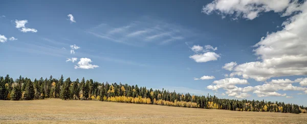 Herbst am Grand Canyon, Nordrand — Stockfoto