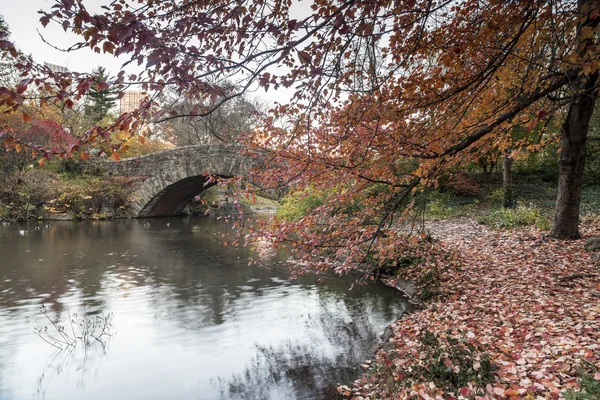 Gapstow mostek central park, Nowy Jork — Zdjęcie stockowe