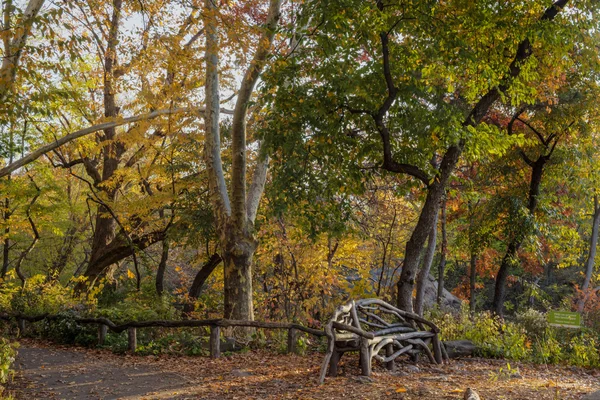 Herfst sxene — Stockfoto