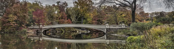 Луковый мост — стоковое фото