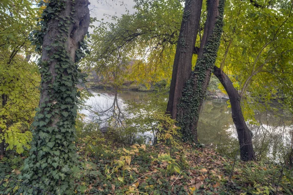 Central Park, Νέα Υόρκη — Φωτογραφία Αρχείου