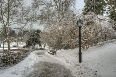 Central Park, New York Şehri
