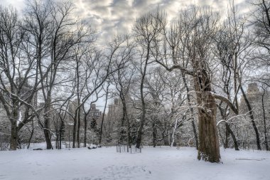 Central Park, New York Şehri