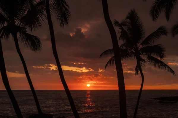 Hawai sunet — Stock Photo, Image