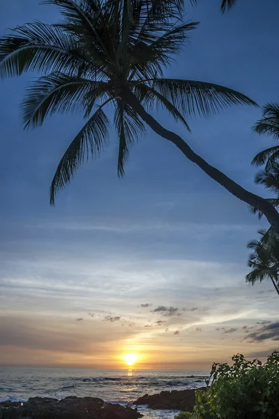 Hawai sunet — Stock Photo, Image