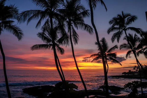 Hawai sunet — Stock Photo, Image