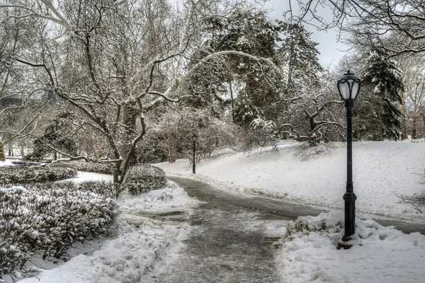 Central Park, New York City — Stockfoto