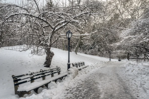 Central Park, New York City — Stock fotografie