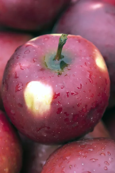 Red Apple — Stock Photo, Image