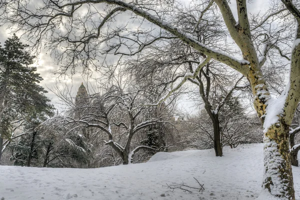 Central Park, New York City — Stockfoto