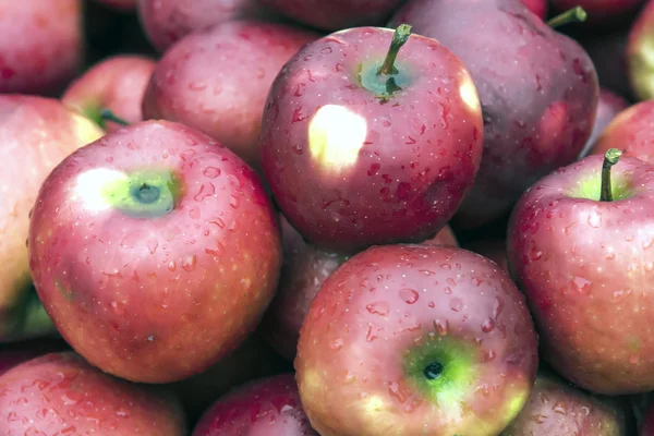 Red Apple — Stock Photo, Image